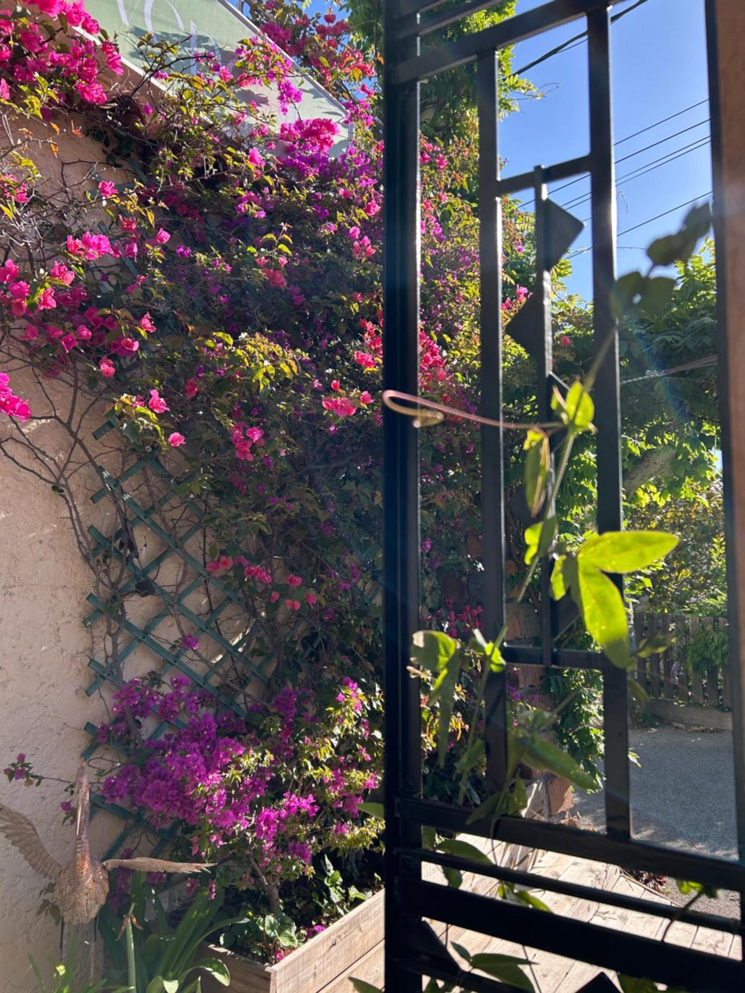 Hôtel Auberge Provençale Saint-Raphaël Buitenkant foto