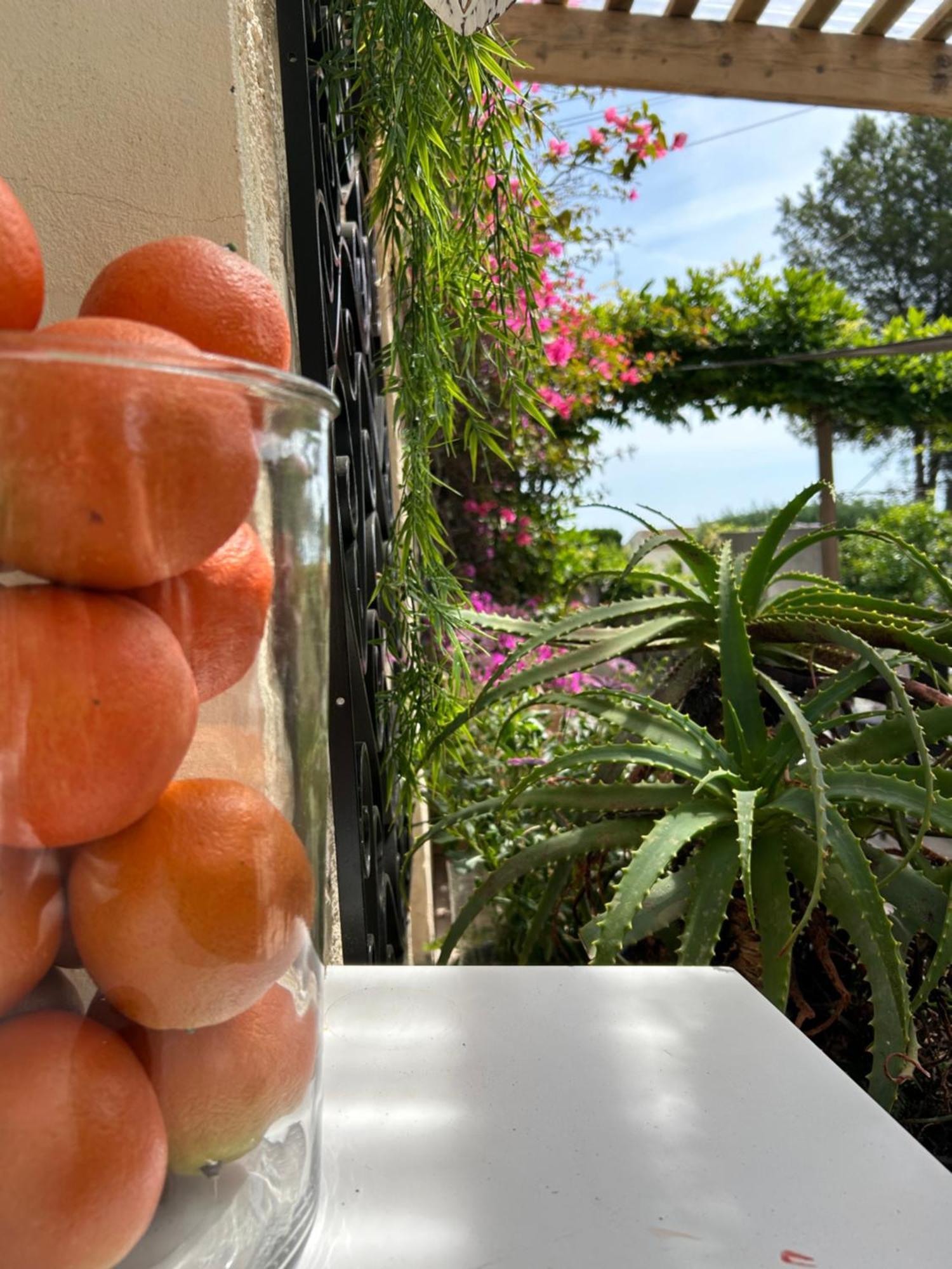 Hôtel Auberge Provençale Saint-Raphaël Buitenkant foto